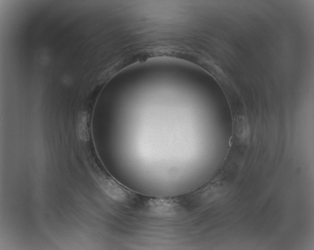 X0000073460378200607281253