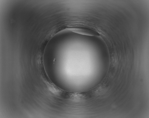 X0000073460379200607281253
