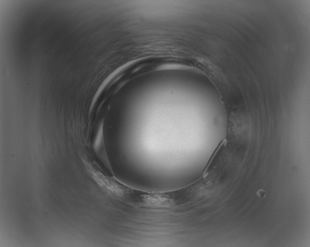 X0000073460380200607281253