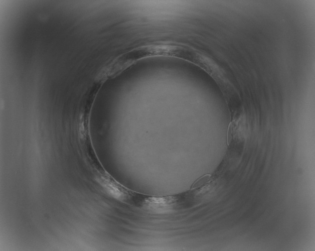 X0000073460381200607281253