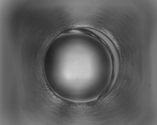 X0000073460385200607281253