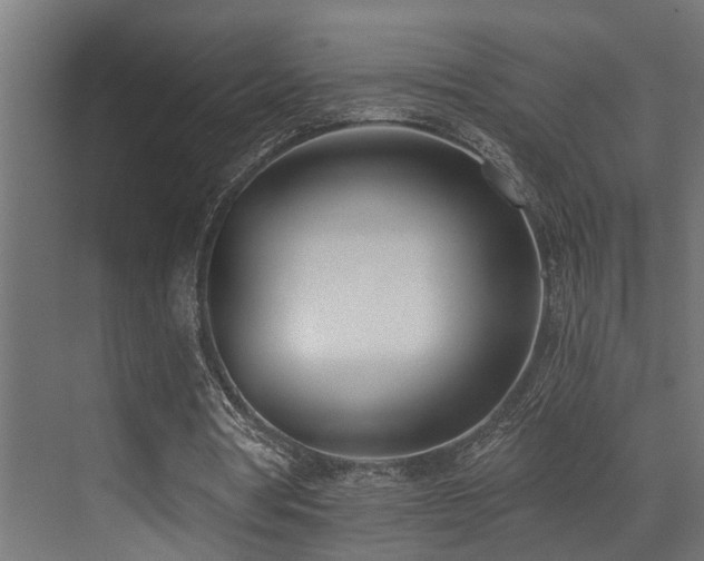 X0000073460386200607281253