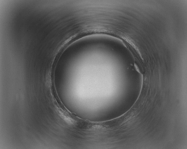 X0000073460390200607281252