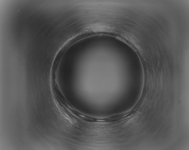 X0000073460391200607281252