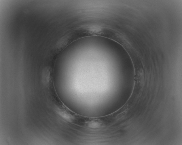 X0000073460412200607281252