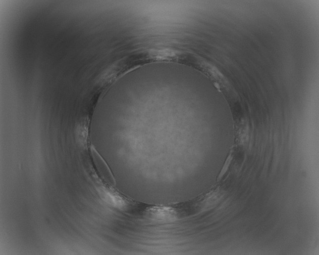 X0000073460427200607281252