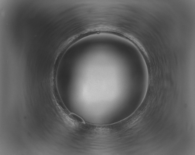 X0000073460437200607281251