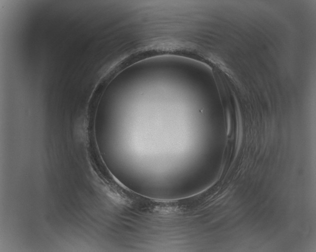 X0000073460440200607281251