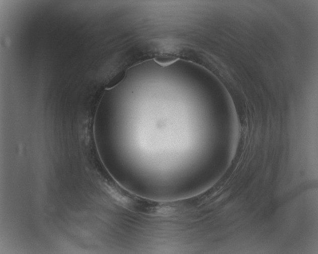 X0000073460462200607281251