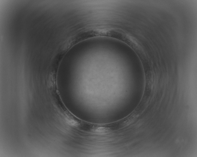 X0000073460467200607281252
