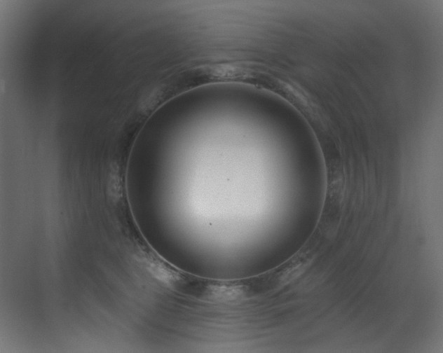 X0000073460469200607281252