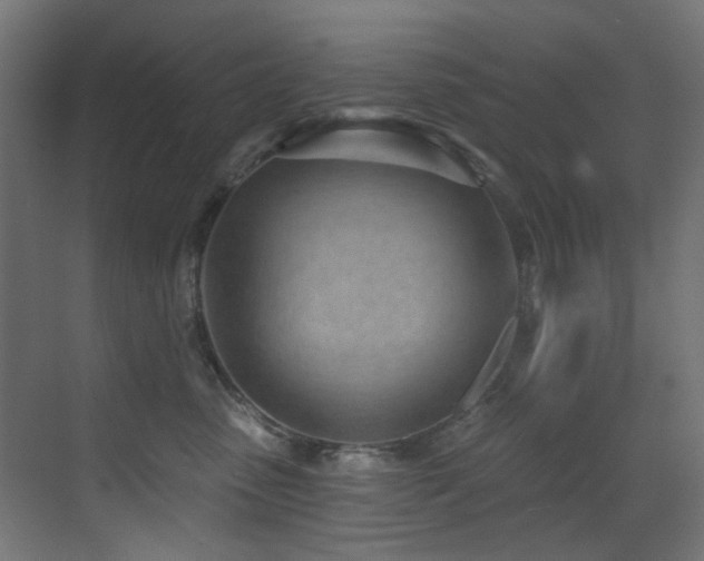 X0000073460475200607281252