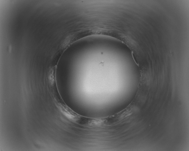 X0000073460479200607281252