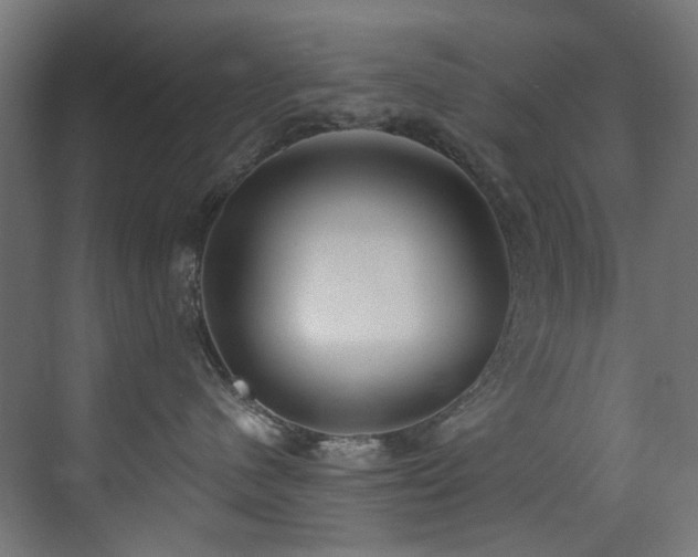 X0000073460480200607281252