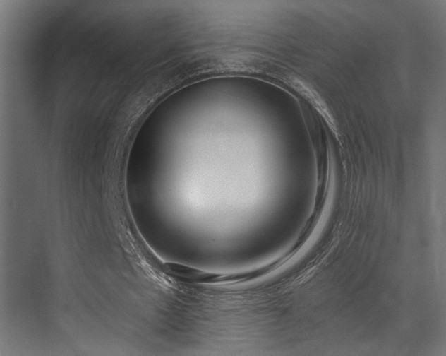 X0000073460481200607281251