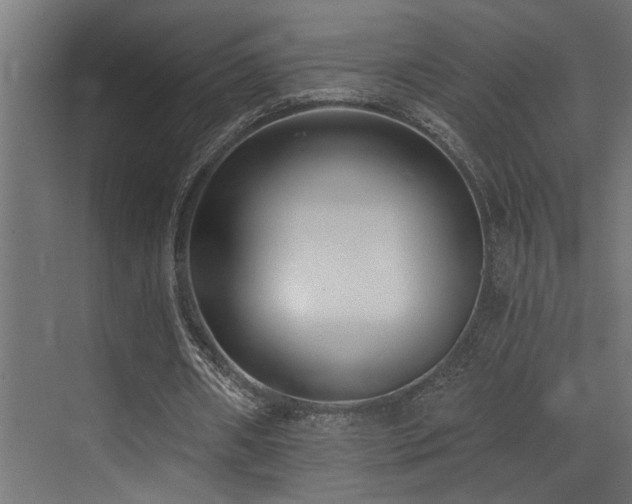 X0000073460482200607281251