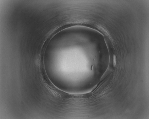 X0000073460483200607281251