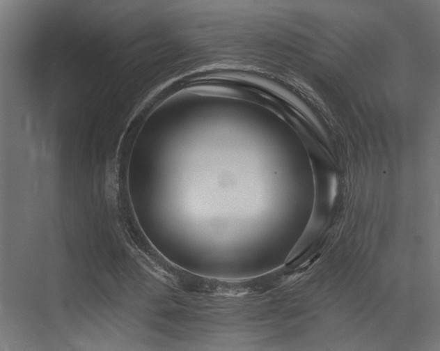 X0000073460484200607281251
