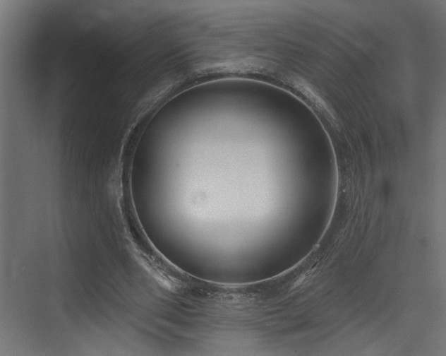 X0000073460486200607281251