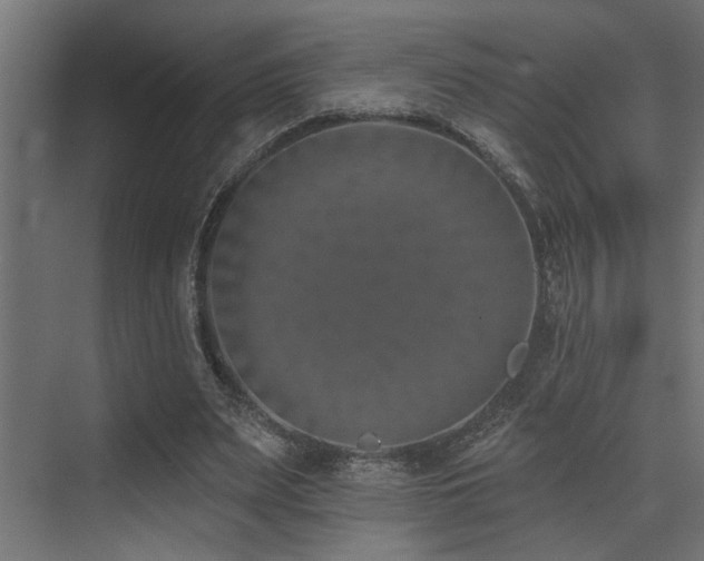 X0000073460487200607281251