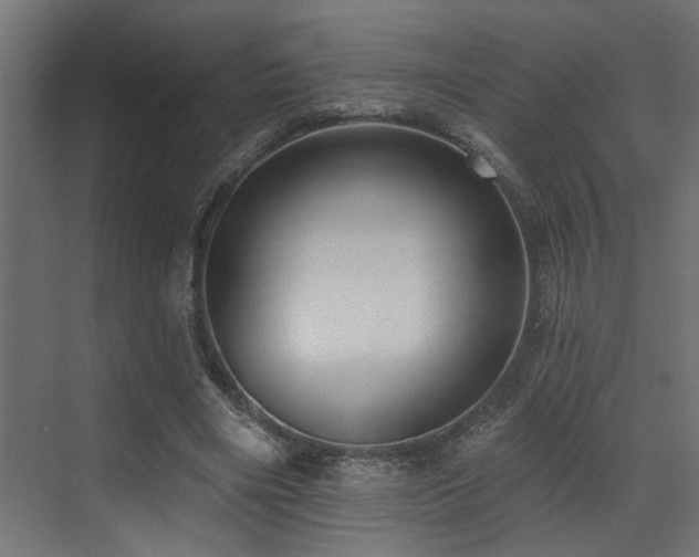 X0000073460490200607281251