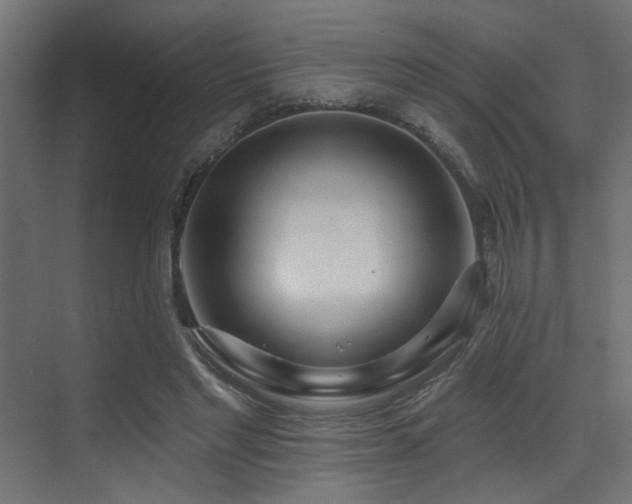 X0000073460493200607281251
