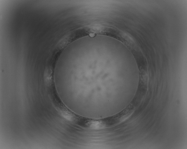X0000073460507200607281251