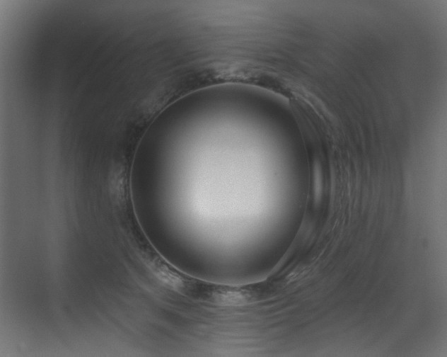 X0000073460513200607281250