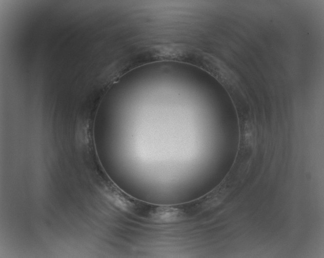 X0000073460514200607281250