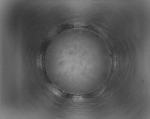 X0000073460519200607281250