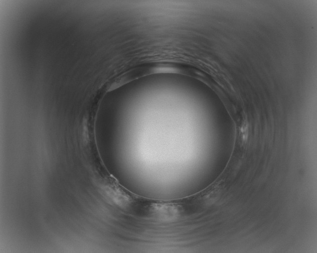 X0000073460520200607281250