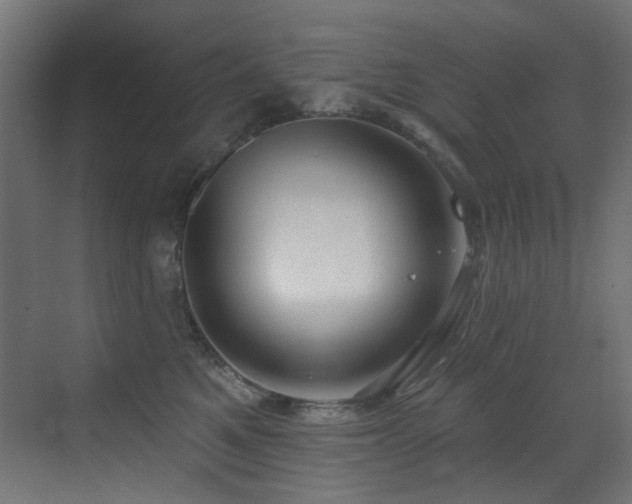 X0000073460521200607281250
