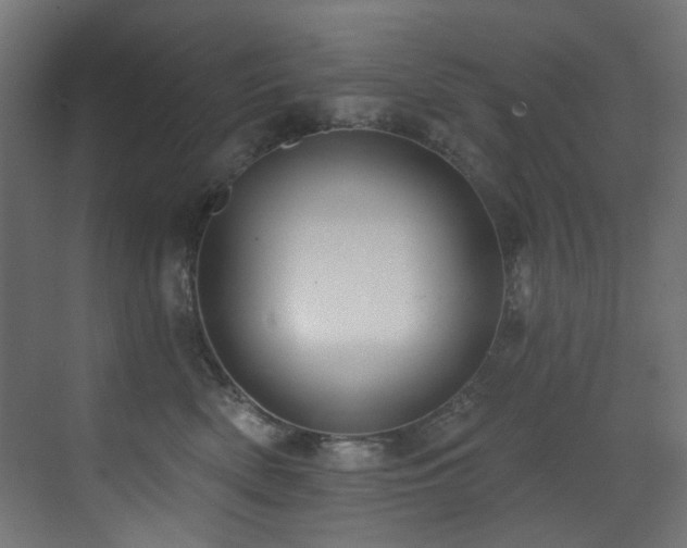 X0000073460522200607281250