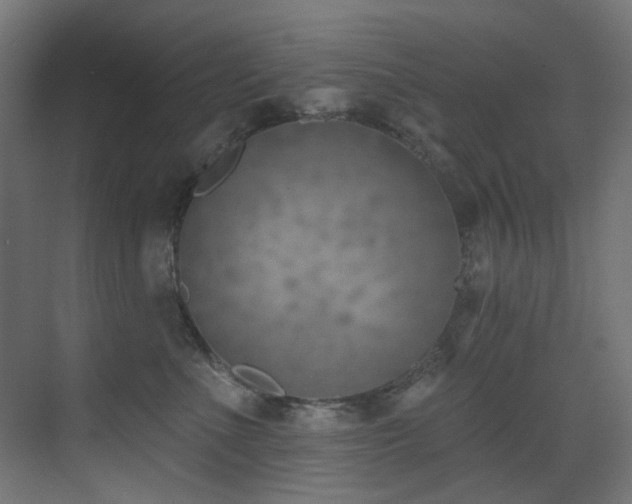 X0000073460523200607281250