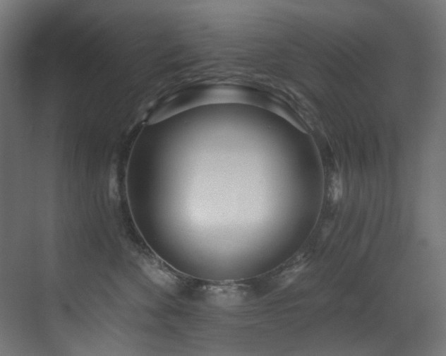 X0000073460524200607281250