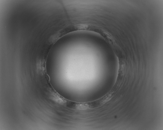X0000073460525200607281250