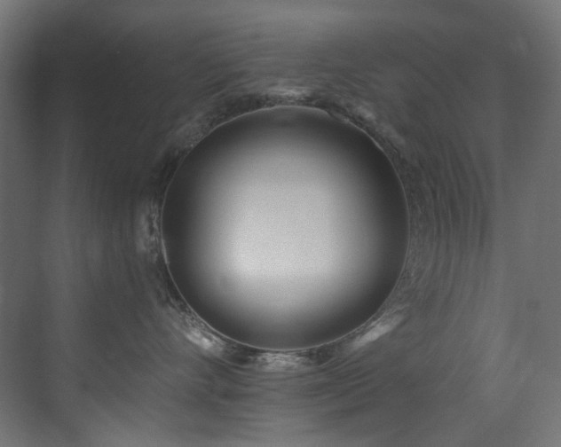 X0000073460528200607281250