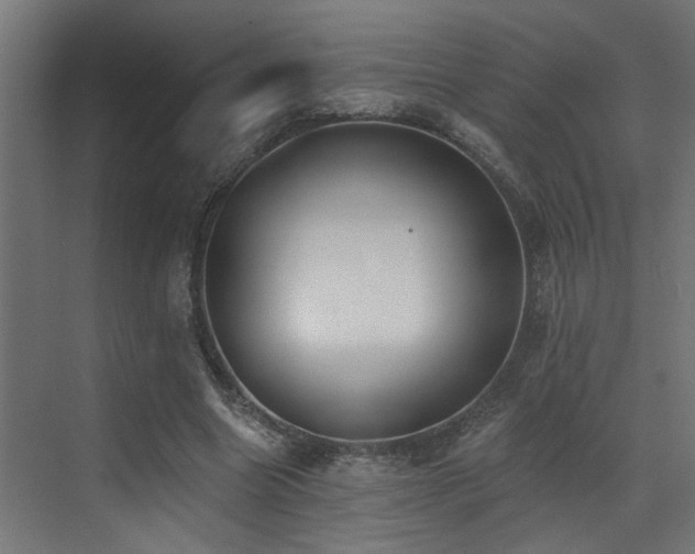 X0000073460538200607281250