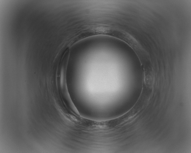X0000073460552200607281250