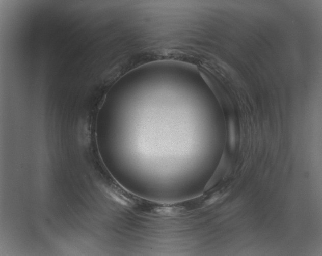 X0000073460558200607281250