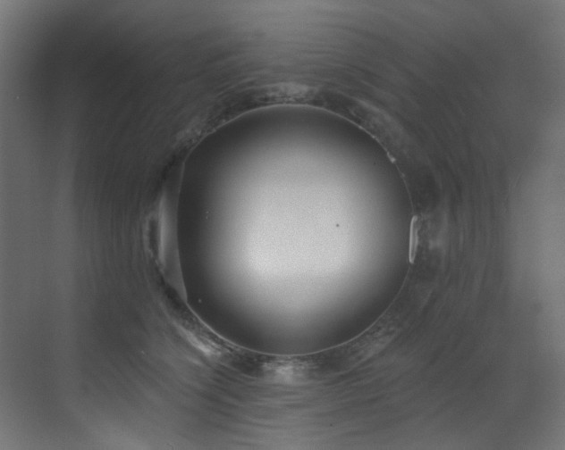 X0000073460564200607281250