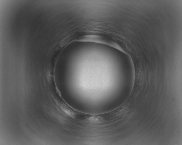 X0000073460566200607281250