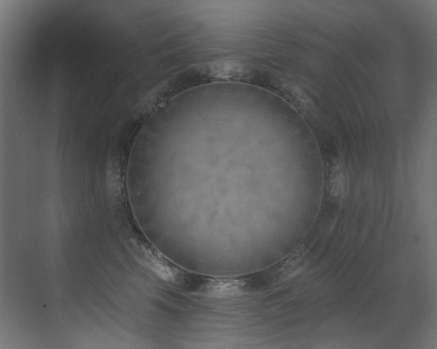 X0000073460569200607281250