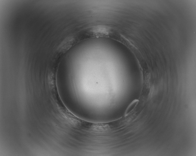 X0000073460571200607281250