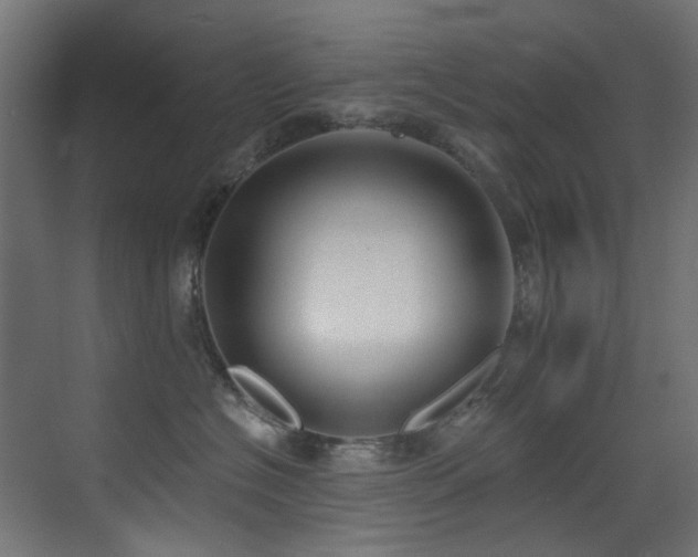 X0000073460574200607281250