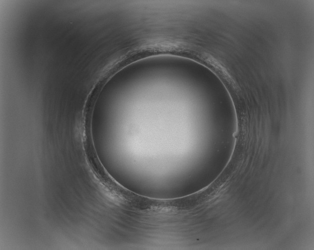 X0000073460582200607281249