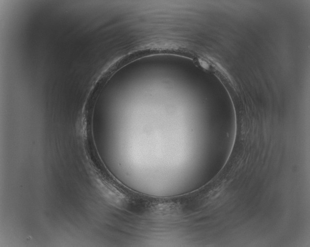 X0000073460584200607281249