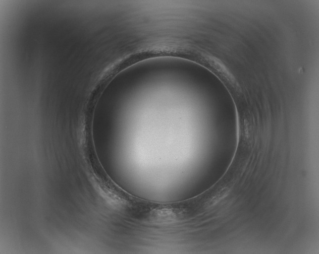 X0000073460588200607281249