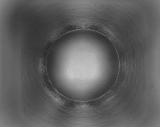 X0000073460594200607281249
