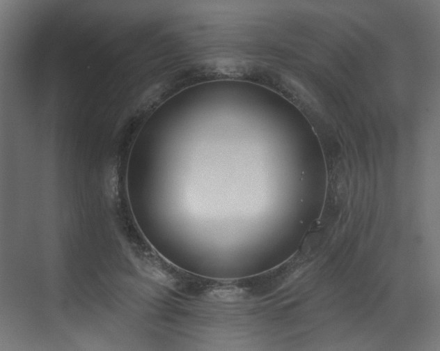 X0000073460595200607281249